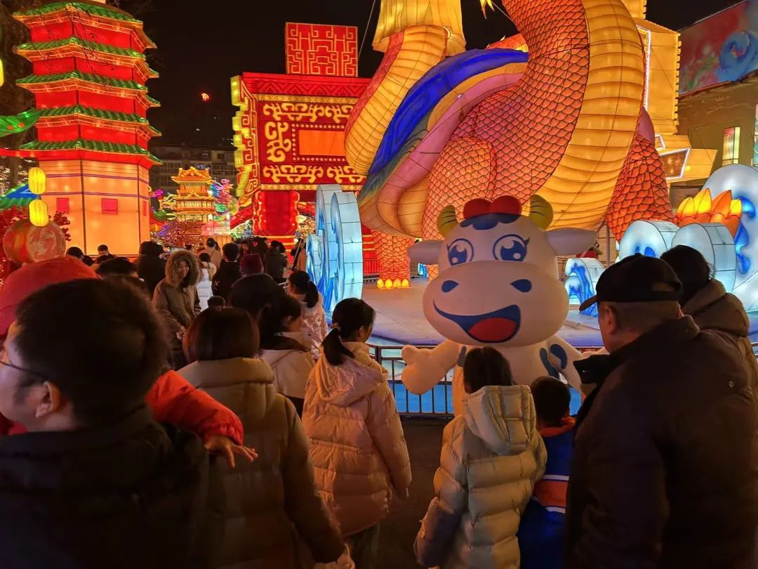 央視直播鄭州龍年燈會迎新春，花花牛品牌上大分