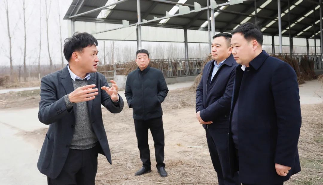 發(fā)揮產(chǎn)業(yè)優(yōu)勢 助力鄉(xiāng)村振興 | 民權(quán)縣委副書記、縣長王靜嫻會(huì)見關(guān)曉彥董事長一行