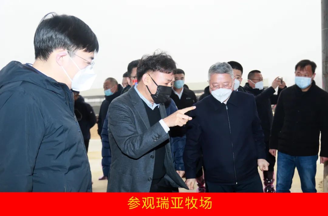 新年開新局 合作促發(fā)展丨佳木斯市委常委、副市長閆志剛一行蒞臨花花牛乳業(yè)集團(tuán)及佳田企業(yè)考察座談