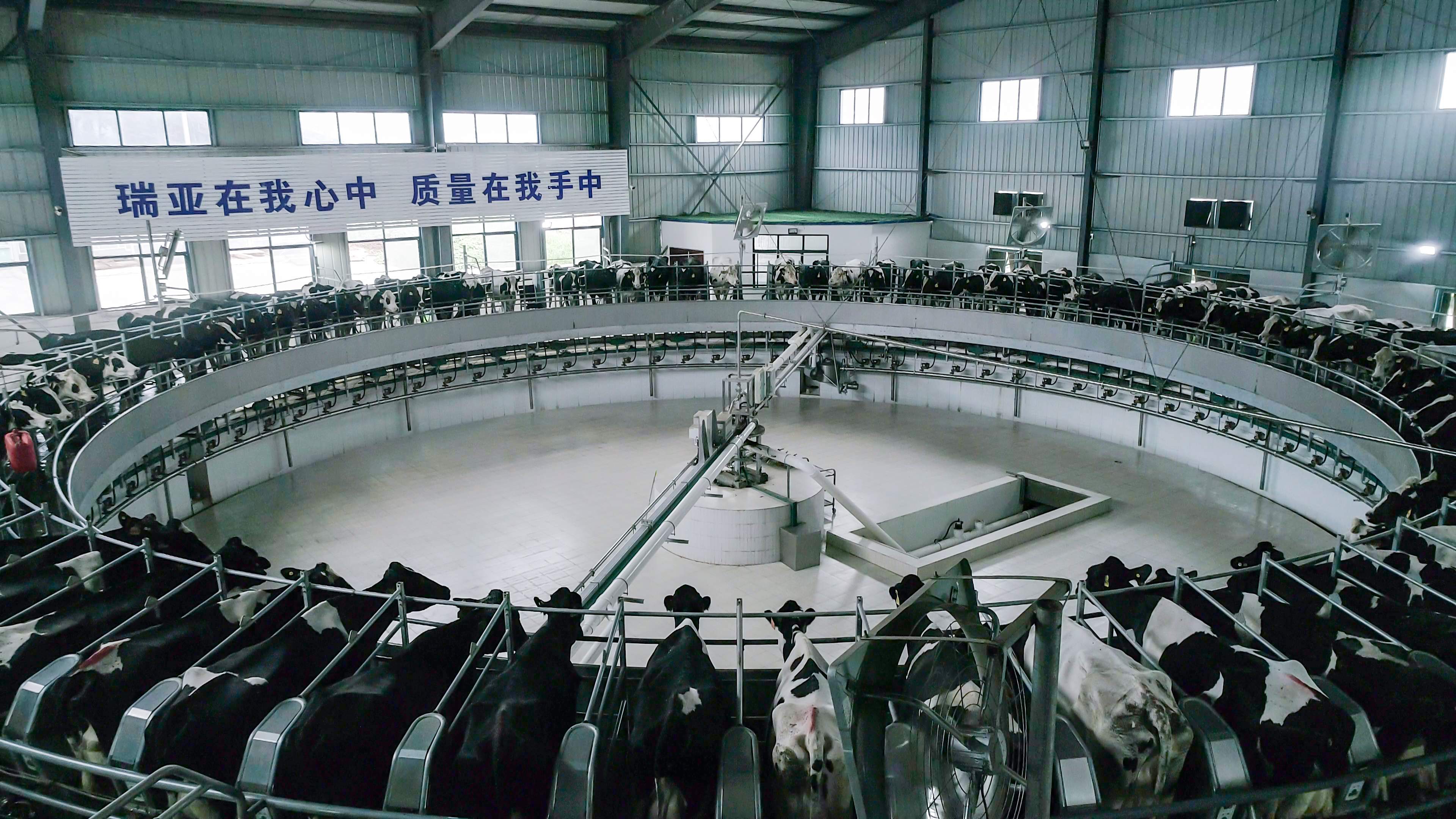 春風(fēng)吹 戰(zhàn)鼓擂——不負(fù)春天好時光