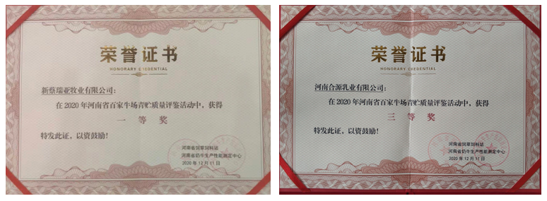 榮譽 | “百家牛場青貯質(zhì)量評鑒活動”花花牛新蔡瑞亞牧業(yè)、河南合源乳業(yè)分別榮獲一、三等獎