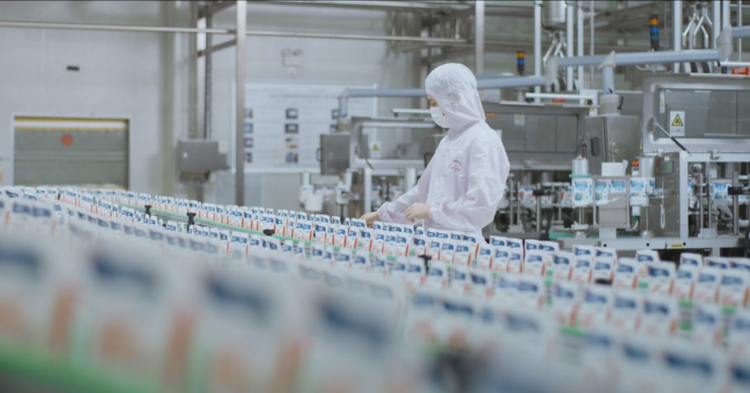 快訊 | 河南省人民政府食品安全委員會辦公室第三批食品安全示范區(qū)驗收組領(lǐng)導(dǎo)蒞臨花花牛乳業(yè)集團驗收食品安全示范區(qū)建設(shè)情況