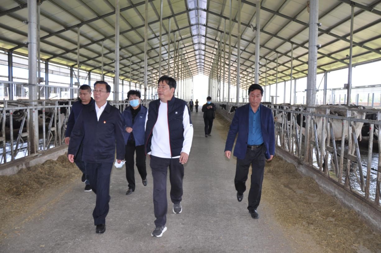 商丘市委常委、宣傳部部長王全周一行蒞臨睢縣瑞亞牧業(yè)有限公司調研