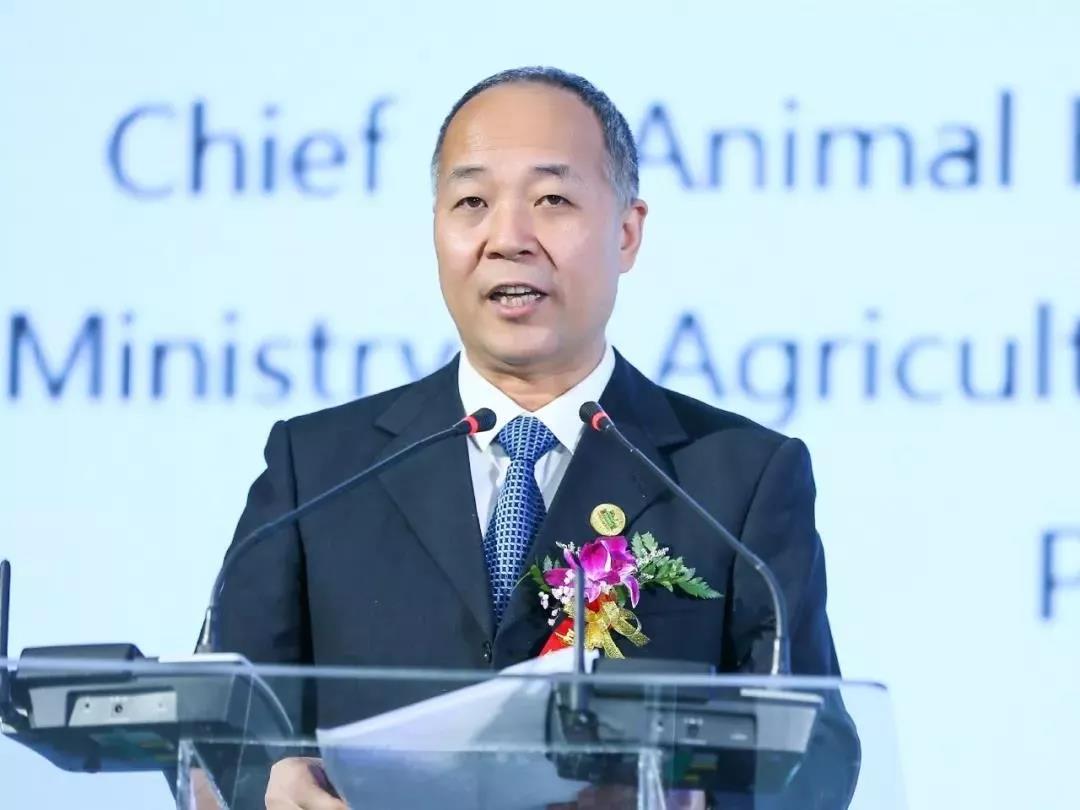 SDDDC走進(jìn)河南，看看花花牛的國(guó)際范兒！