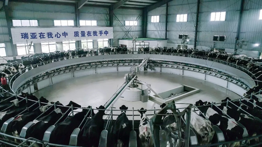 第31屆中原畜牧業(yè)交易博覽會 || 花花牛乳業(yè)集團獲“河南省畜牧行業(yè)——最具影響力品牌”獎 第31屆中原畜牧業(yè)交易博覽會 || 花花牛乳業(yè)集團獲“河南省畜牧行業(yè)——最具影響力品牌”獎