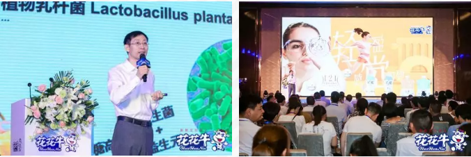 花花牛輕覺(jué)上市暨優(yōu)質(zhì)乳工程認(rèn)證發(fā)布會(huì)，盛大啟幕！