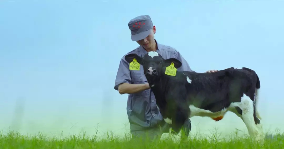 喜報 | 國家市場監(jiān)管總局抽檢，花花牛等112家企業(yè)乳品抽檢全部合格