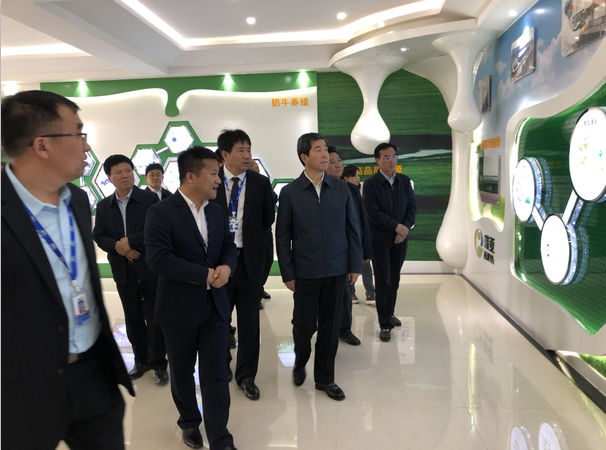 河南省委副書(shū)記、省長(zhǎng)陳潤(rùn)兒一行蒞臨 花花牛集團(tuán)魯山瑞亞牧業(yè)有限公司視察調(diào)研