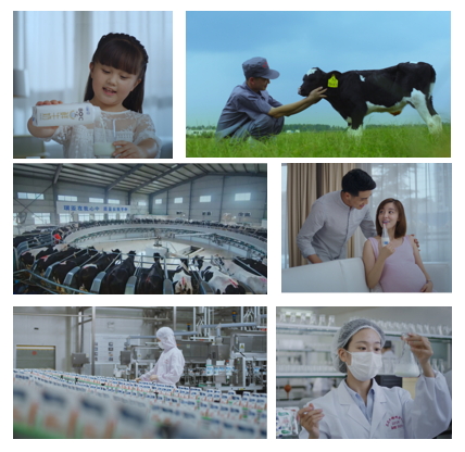 花花牛亮相中國奶業(yè)20強呼倫貝爾峰會，共話中國奶業(yè)振興！