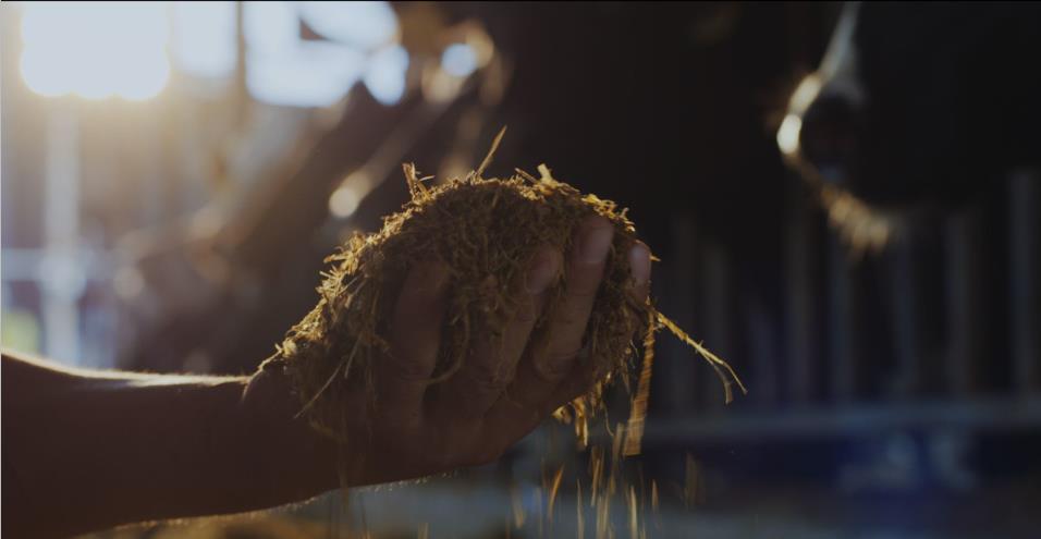 又雙叒叕獲獎(jiǎng)啦！花花牛榮獲“乳品質(zhì)量安全管理 優(yōu)秀企業(yè)”