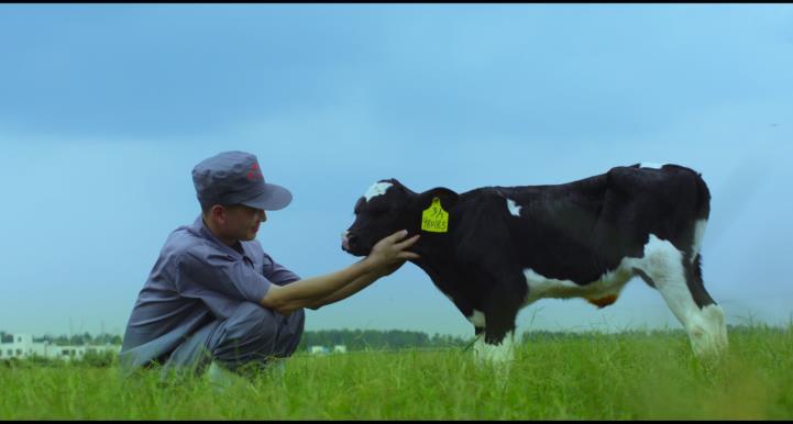 又雙叒叕獲獎(jiǎng)啦！花花牛榮獲“乳品質(zhì)量安全管理 優(yōu)秀企業(yè)”