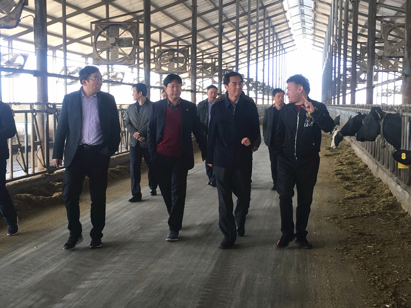 封丘縣縣長王獻(xiàn)臣一行蒞臨 花花牛集團(tuán)養(yǎng)殖、乳品事業(yè)部參觀調(diào)研