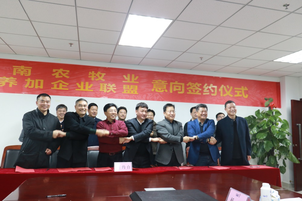 涉農(nóng)企業(yè)強(qiáng)強(qiáng)聯(lián)合，“抱團(tuán)取暖”共迎企業(yè)發(fā)展的春天