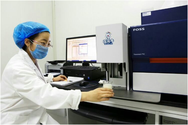 花花牛：務(wù)實、創(chuàng)新領(lǐng)潮市場 大企業(yè)體現(xiàn)大擔(dān)當(dāng)