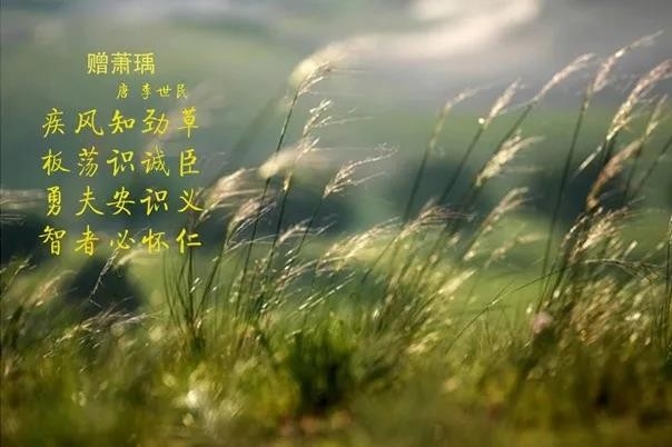 花花牛 | 疾風(fēng)來臨，你是不是勁草？