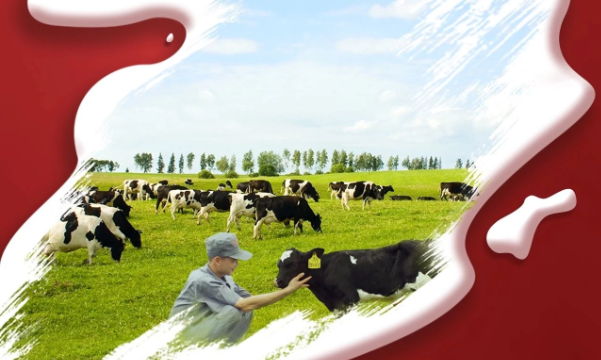 喜報(bào)！花花牛董事長(zhǎng)關(guān)曉彥再獲”優(yōu) 秀企業(yè)家”稱號(hào)